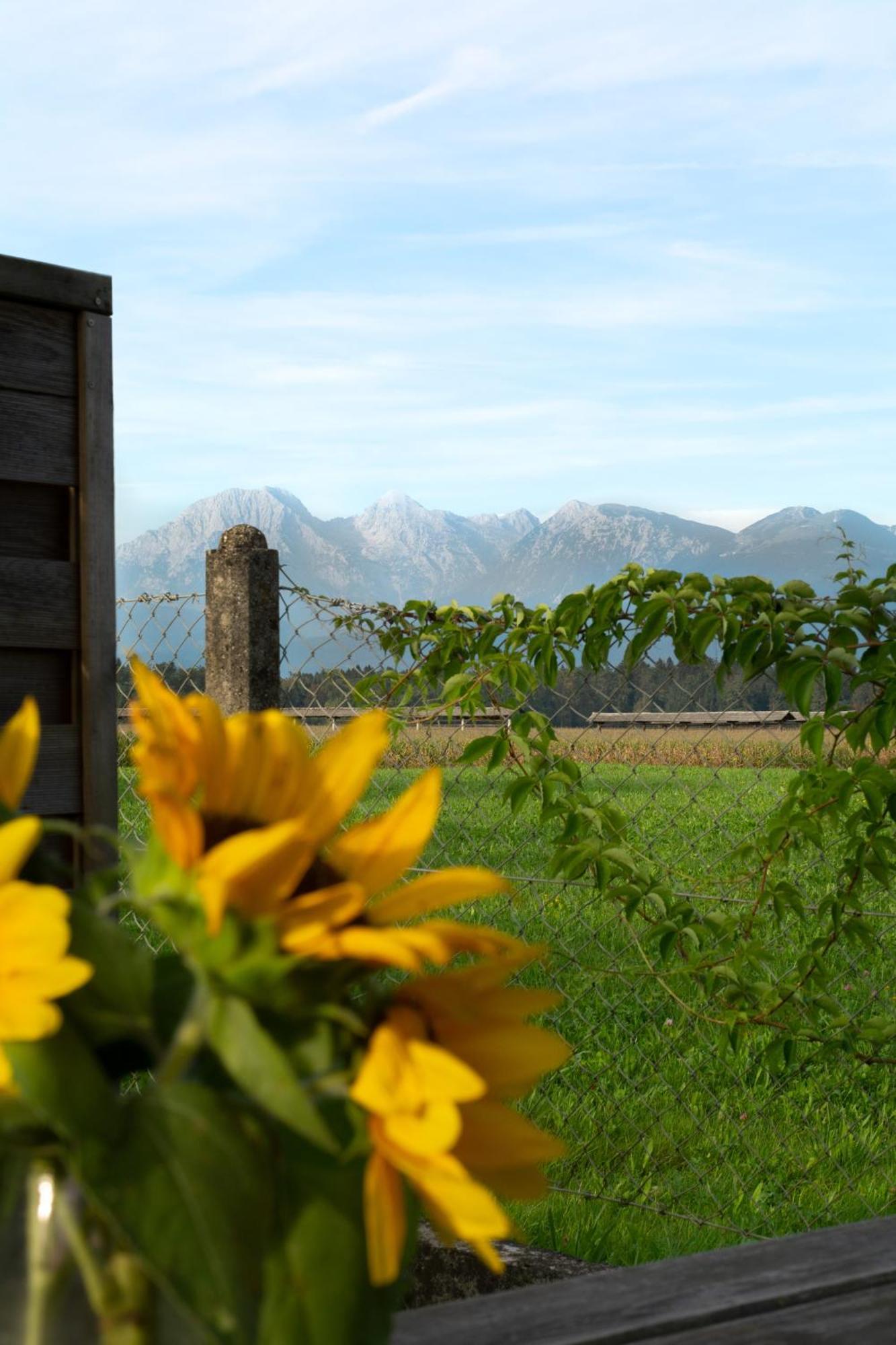 Glamping With A View Villa Smlednik Ngoại thất bức ảnh